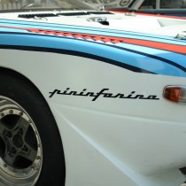 Martini - Pinifarinna